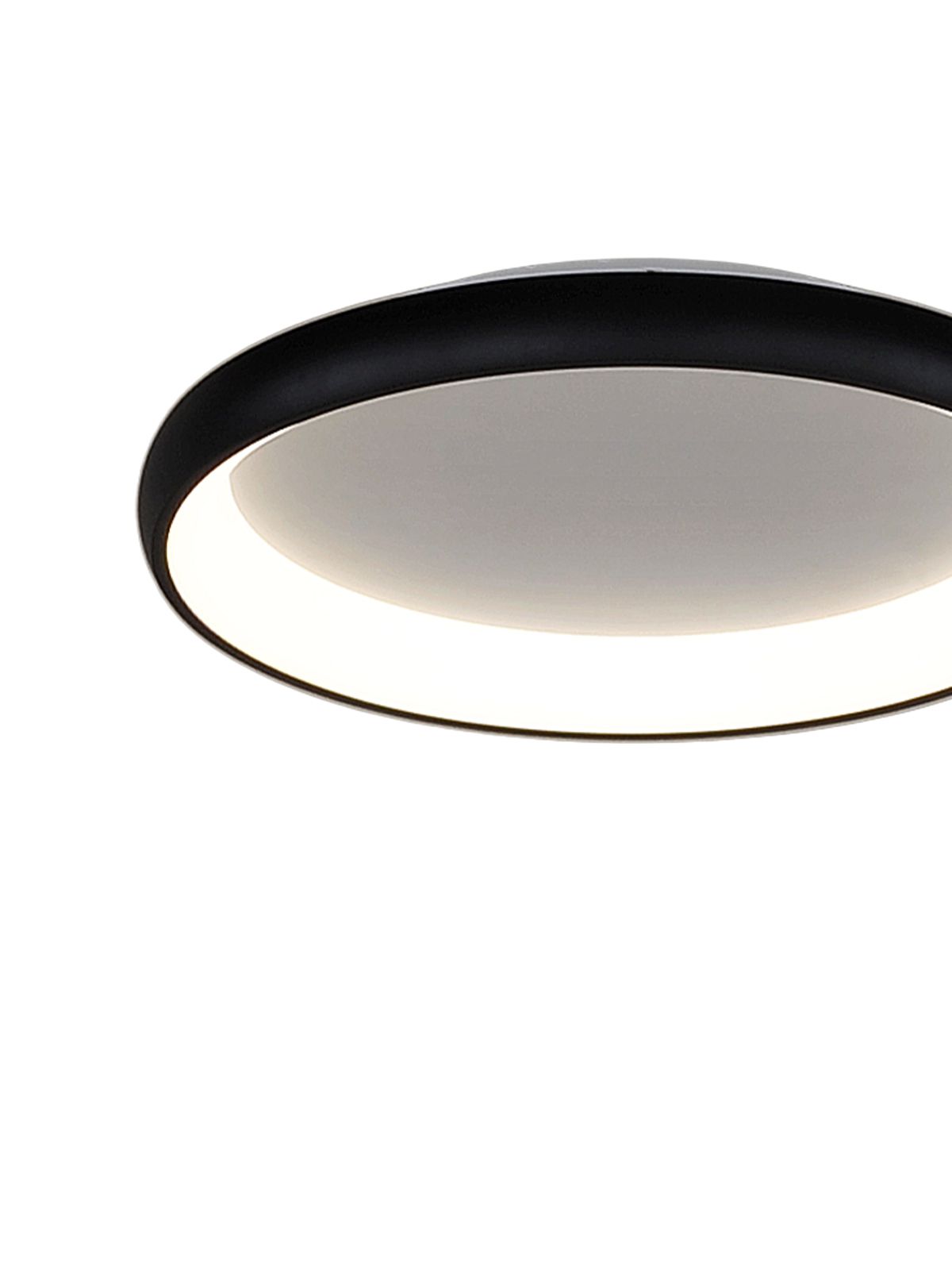 דליה צמוד CCT