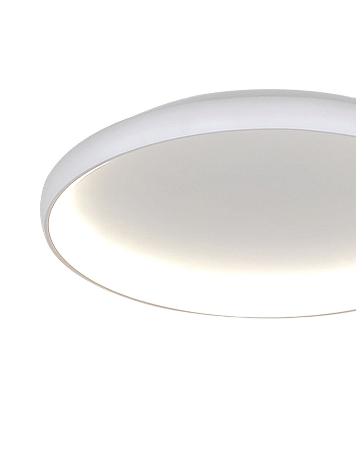 דליה צמוד CCT