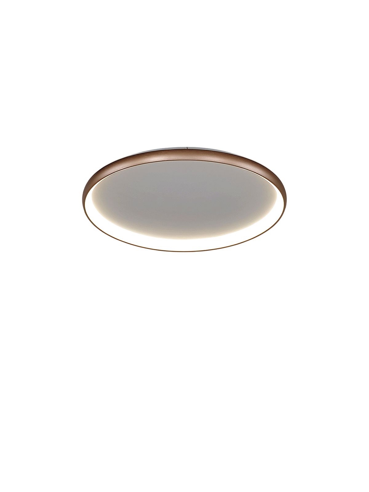 דליה צמוד שמפניה CCT