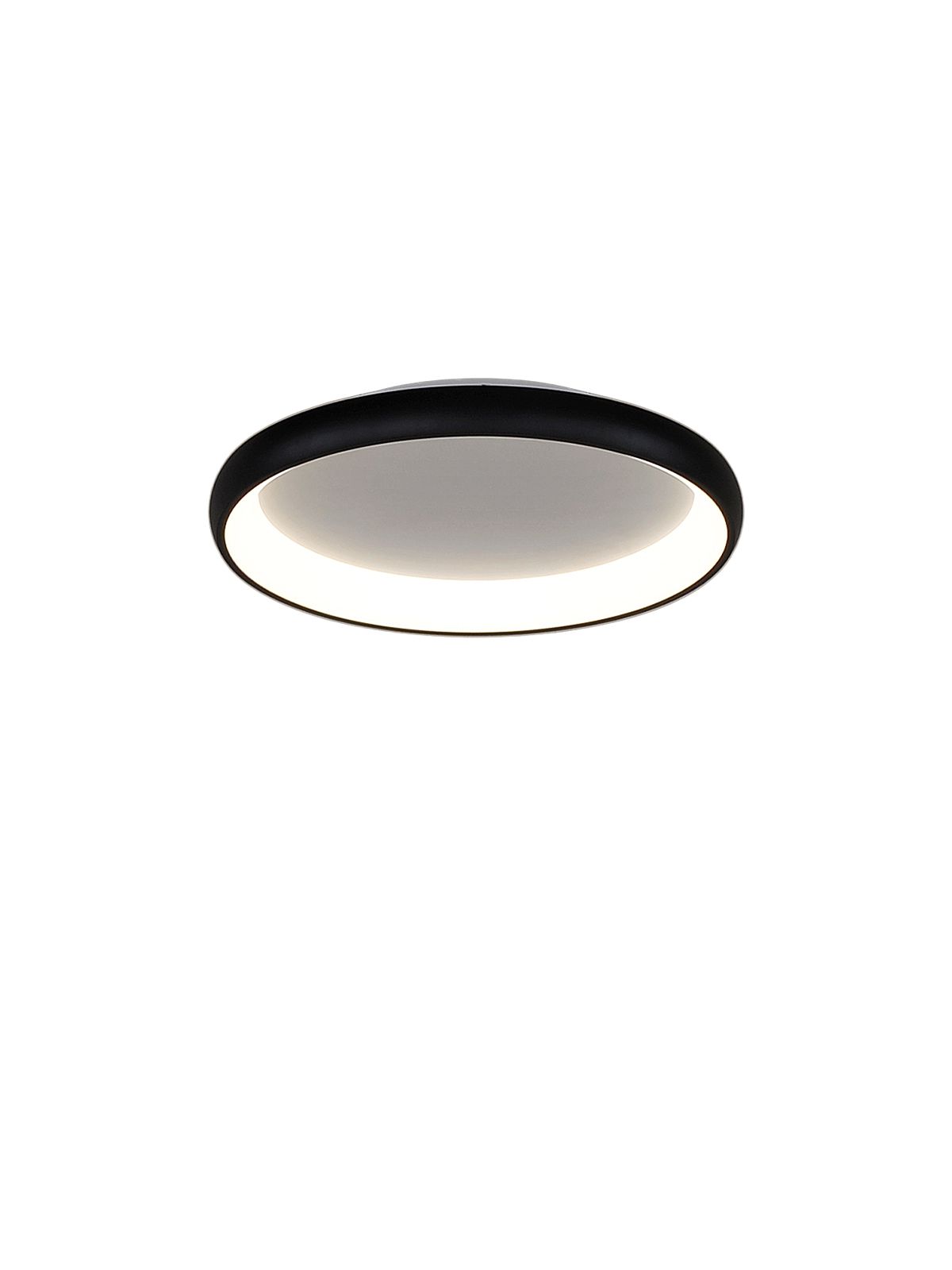 דליה צמוד CCT