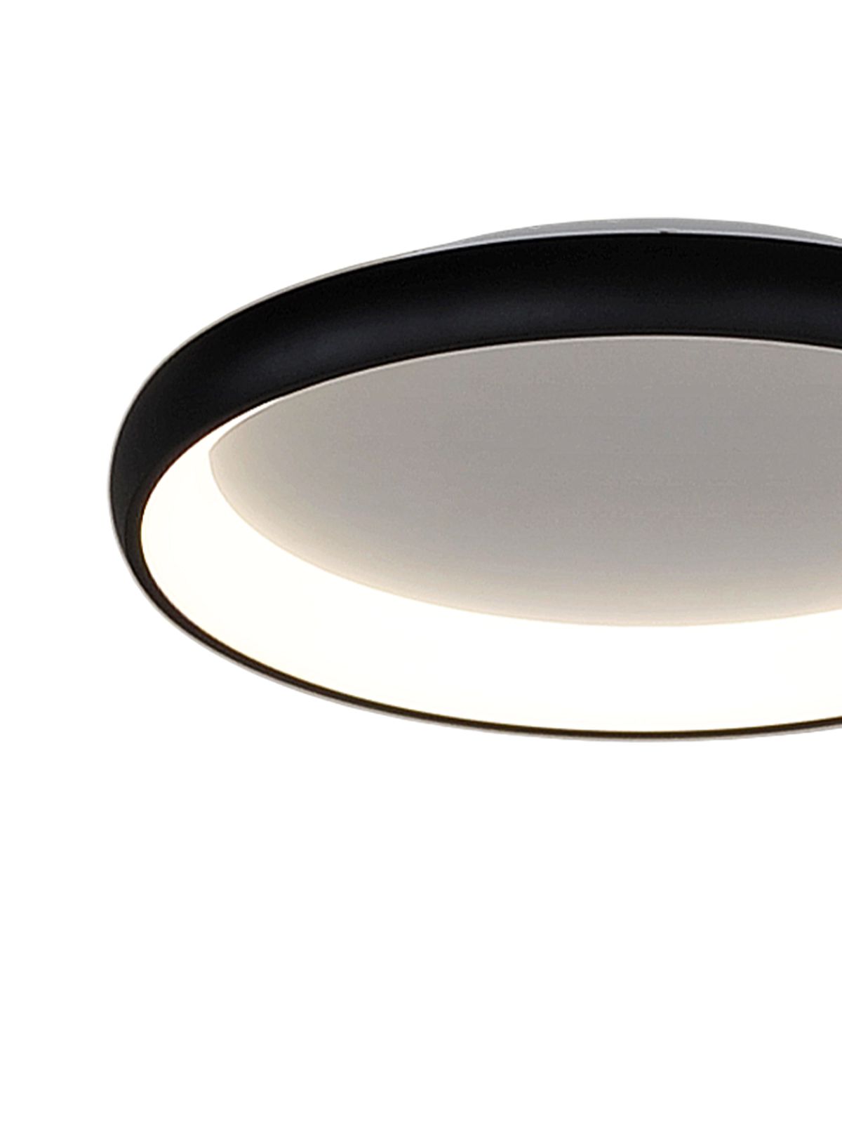 דליה צמוד CCT