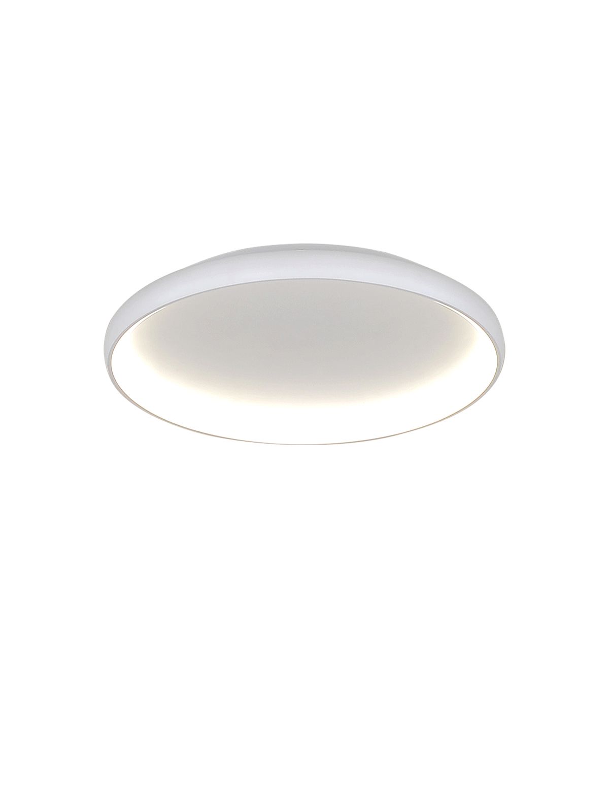 דליה צמוד CCT