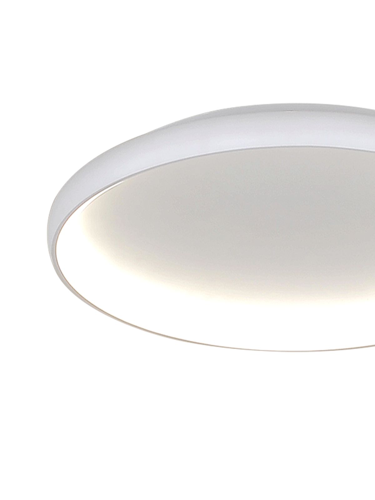 דליה צמוד CCT