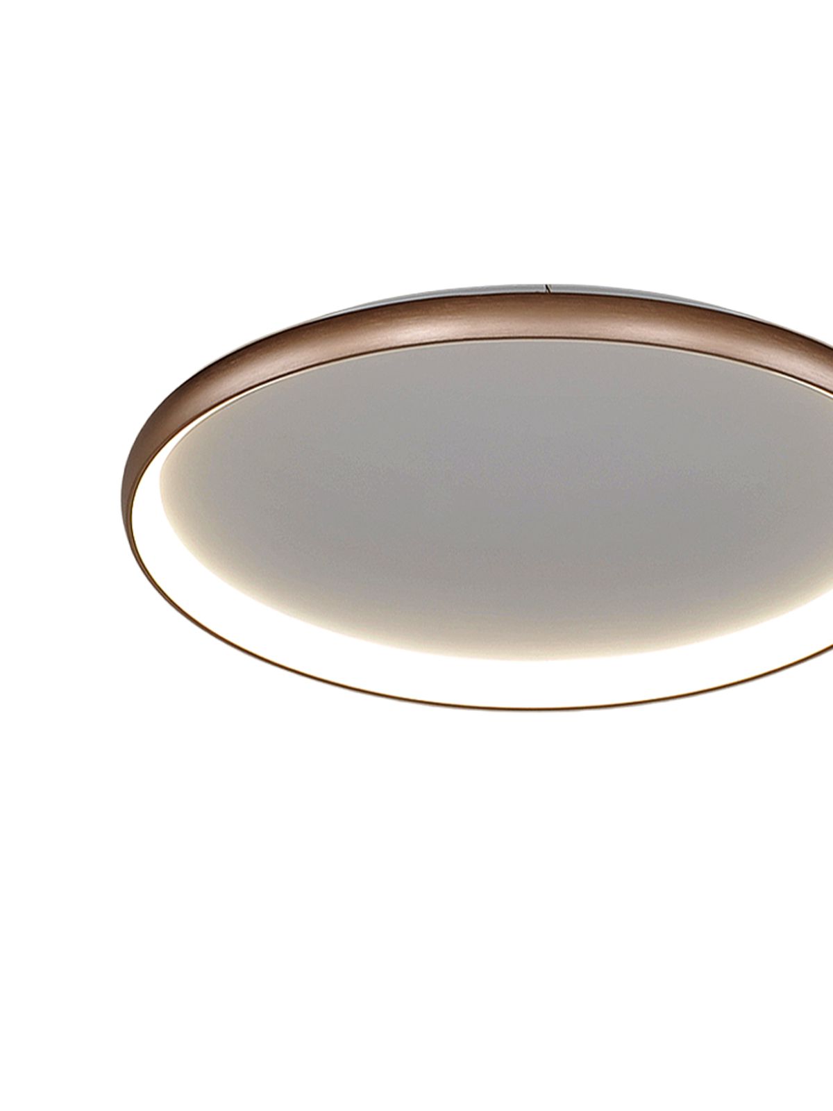 דליה צמוד שמפניה CCT