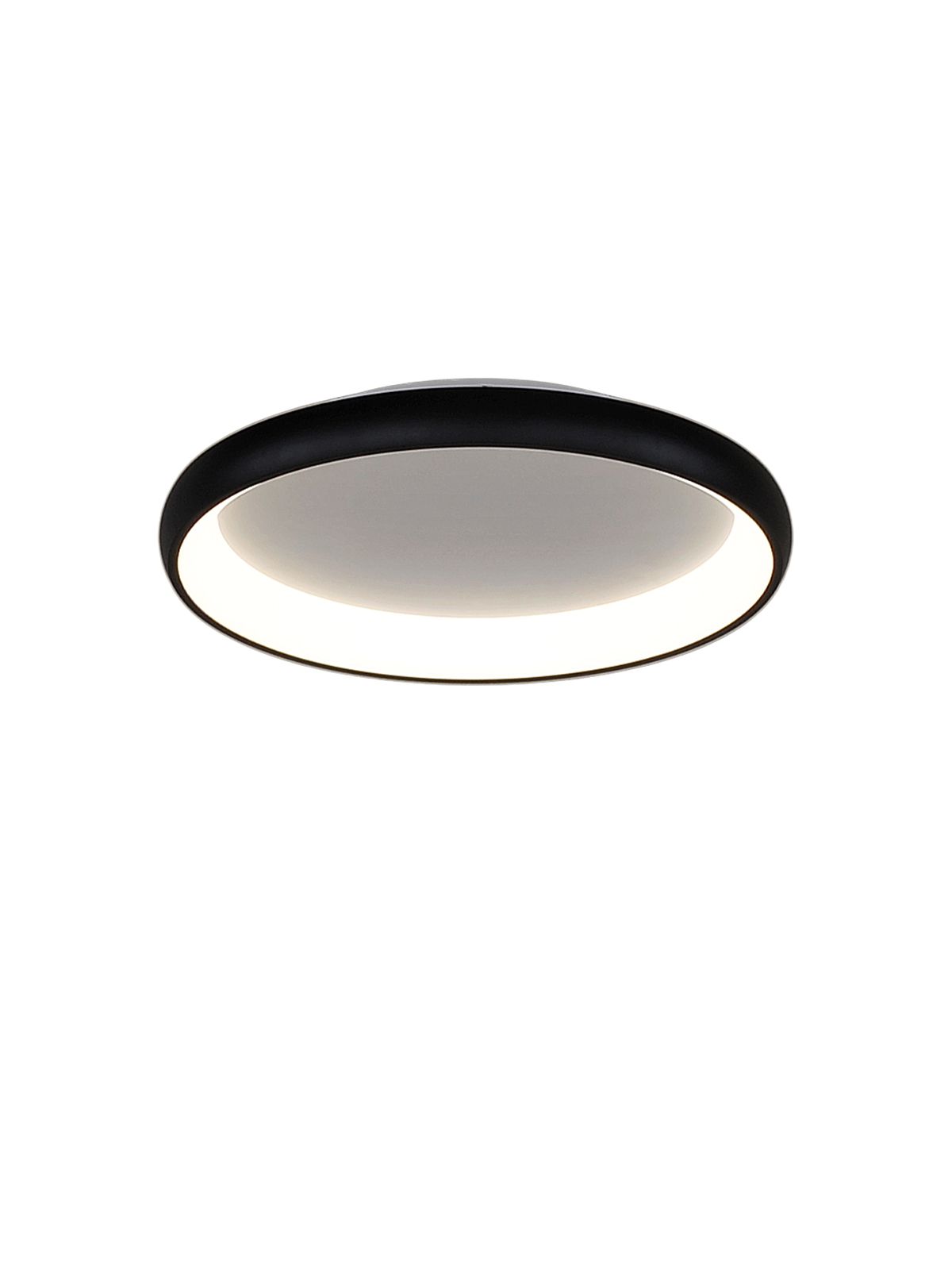 דליה צמוד CCT