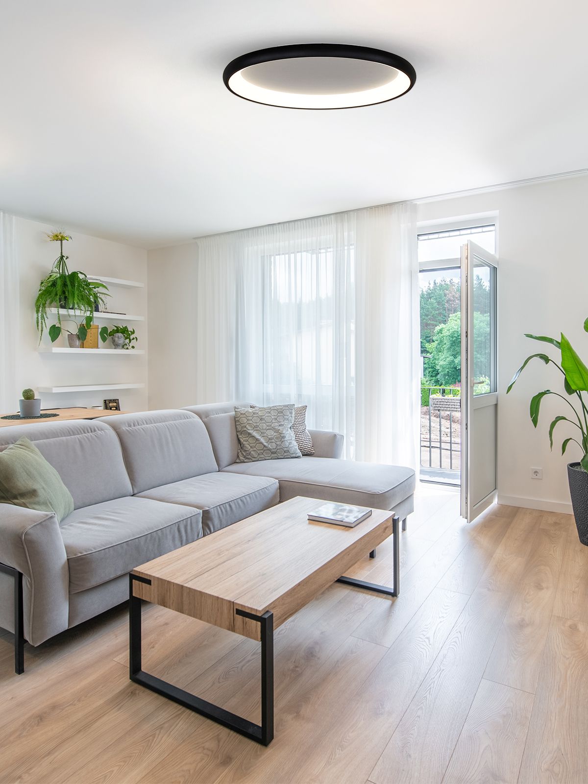 דליה צמוד CCT