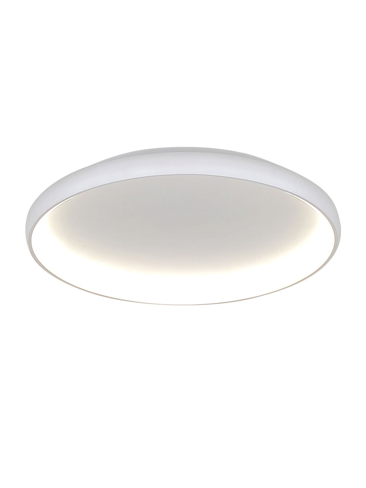 דליה צמוד CCT