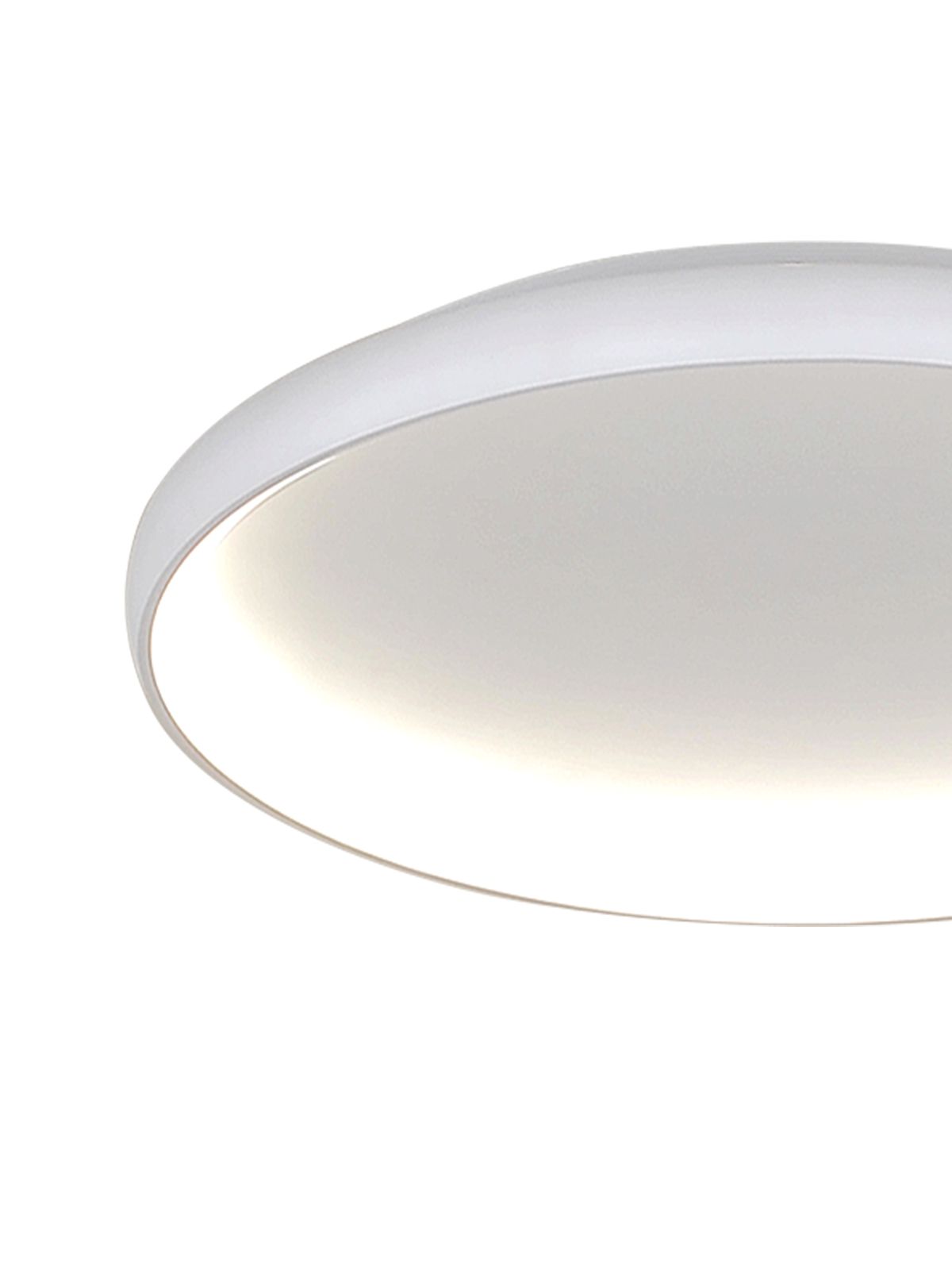 דליה צמוד CCT