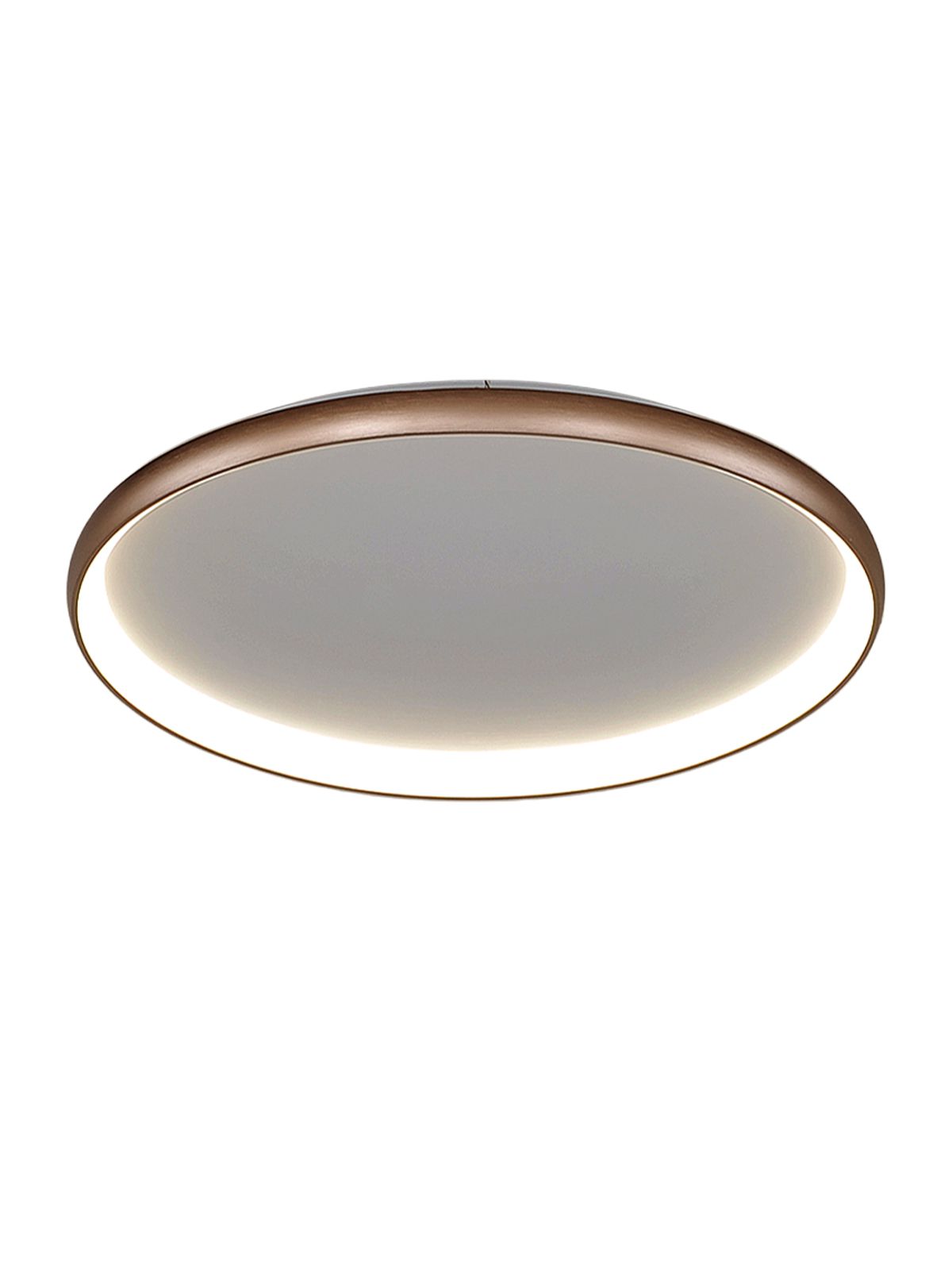 דליה צמוד שמפניה CCT