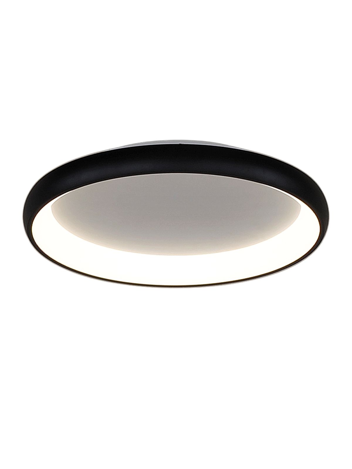 דליה צמוד CCT