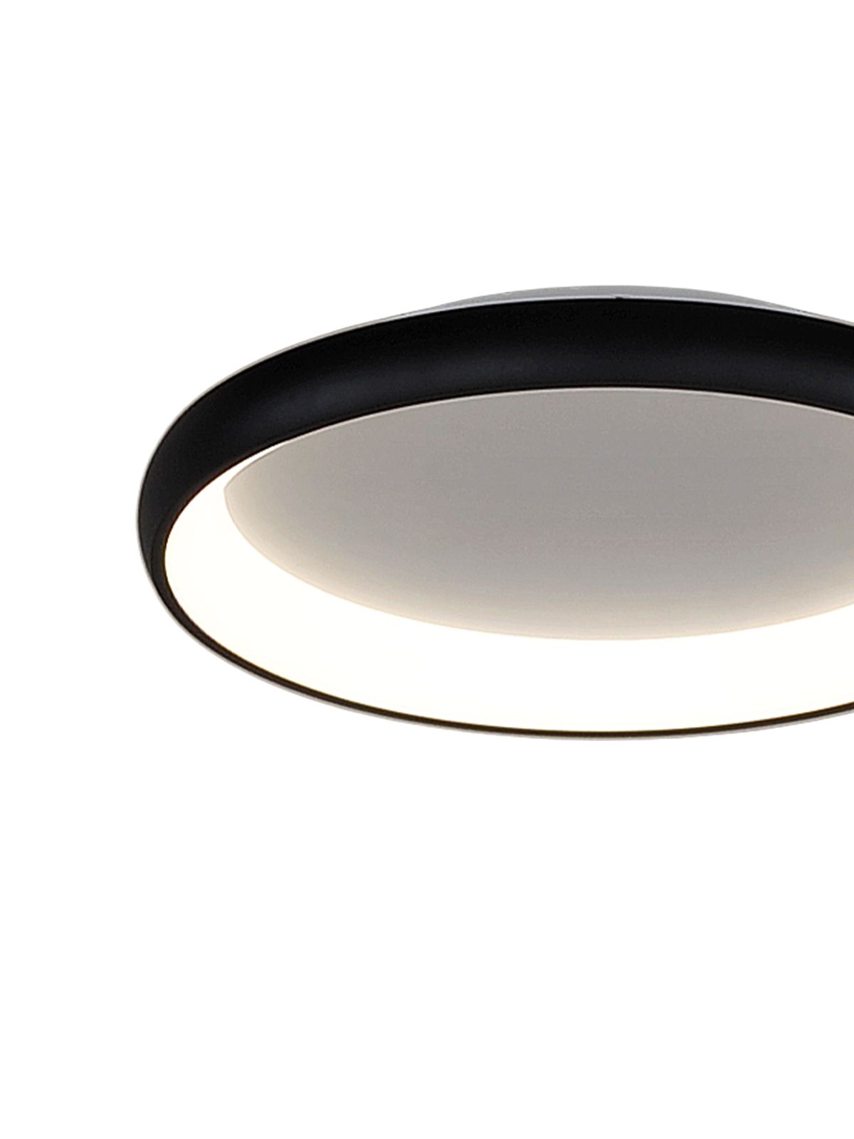 דליה צמוד CCT