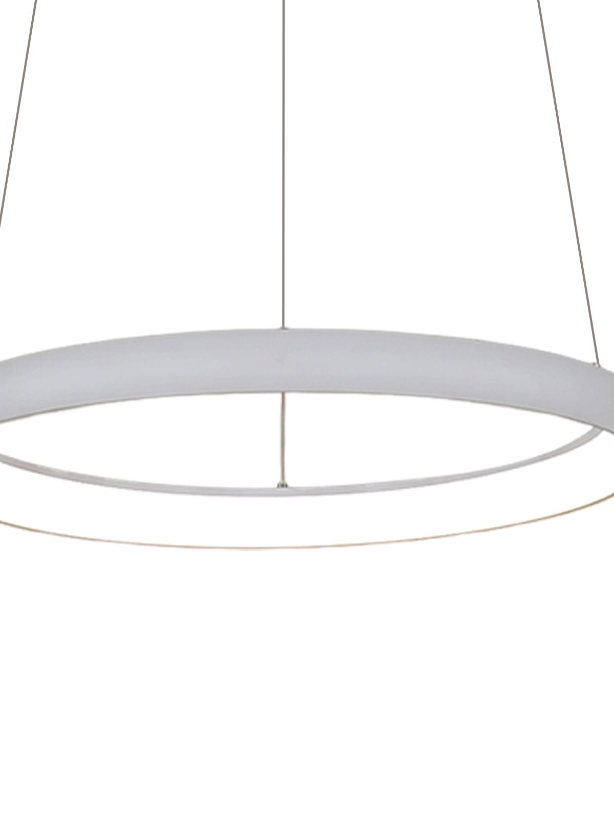 דליה תליה CCT