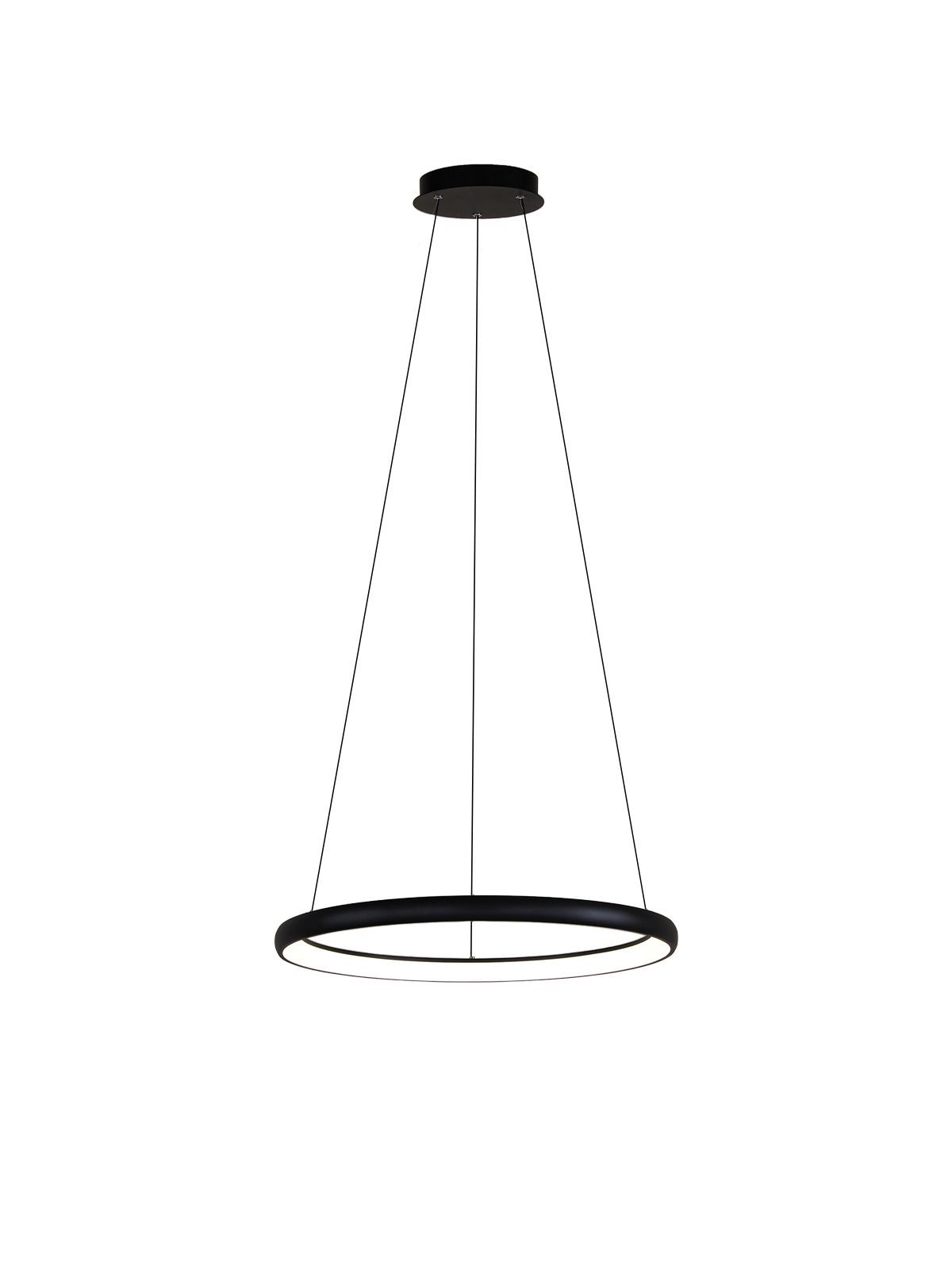 דליה תליה CCT