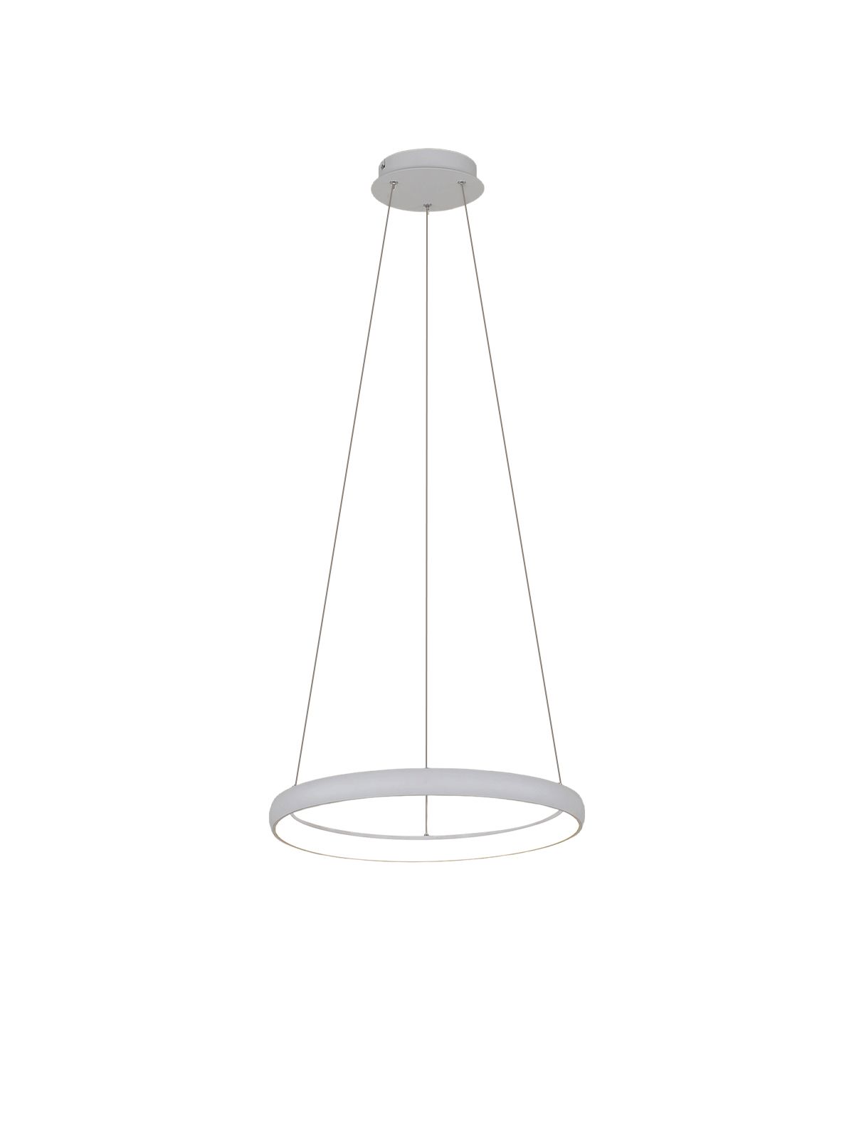 דליה תליה CCT