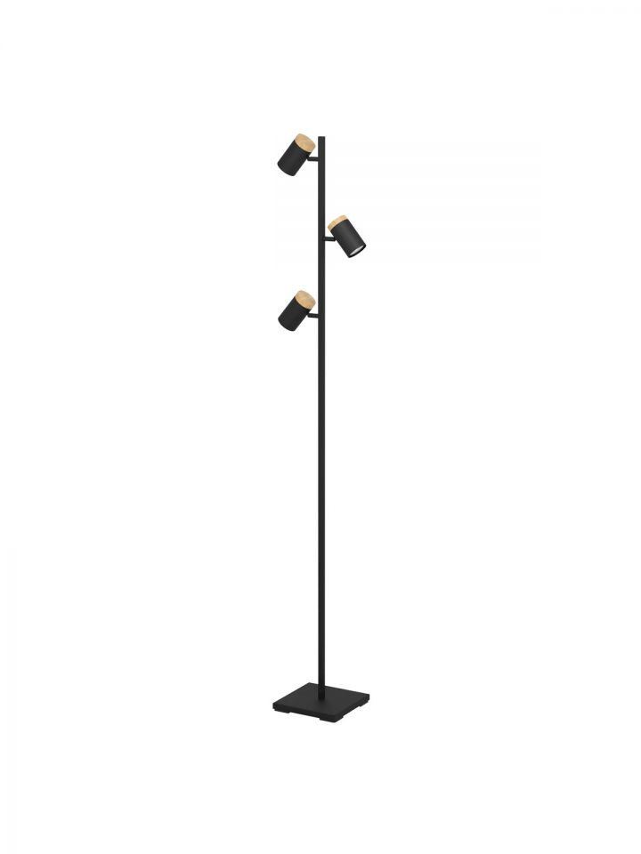 קרטגינה עמידה