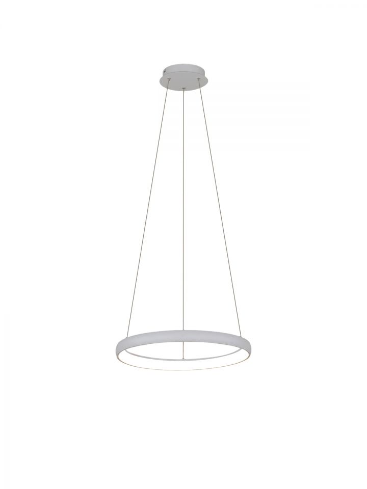 דליה תליה CCT