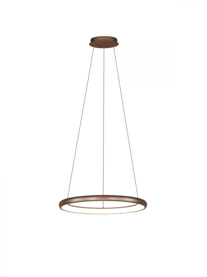 דליה תליה שמפניה CCT