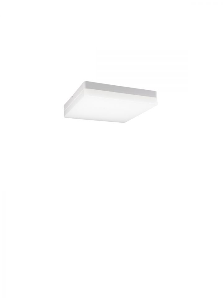 אדמונד פלפון LED מרובע