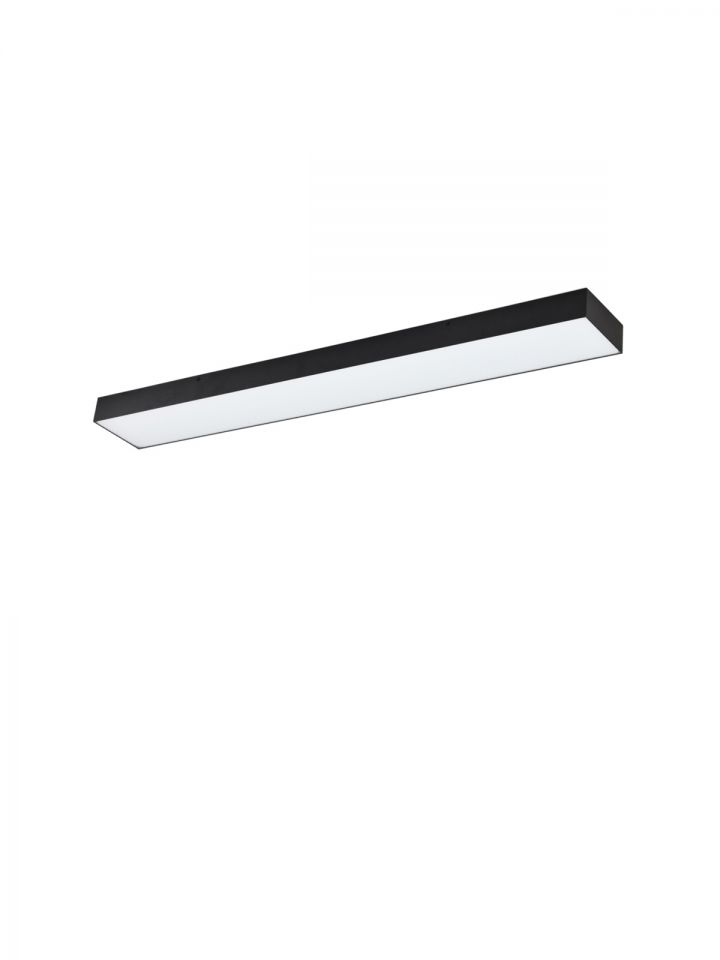 ג’סמין מלבני CCT