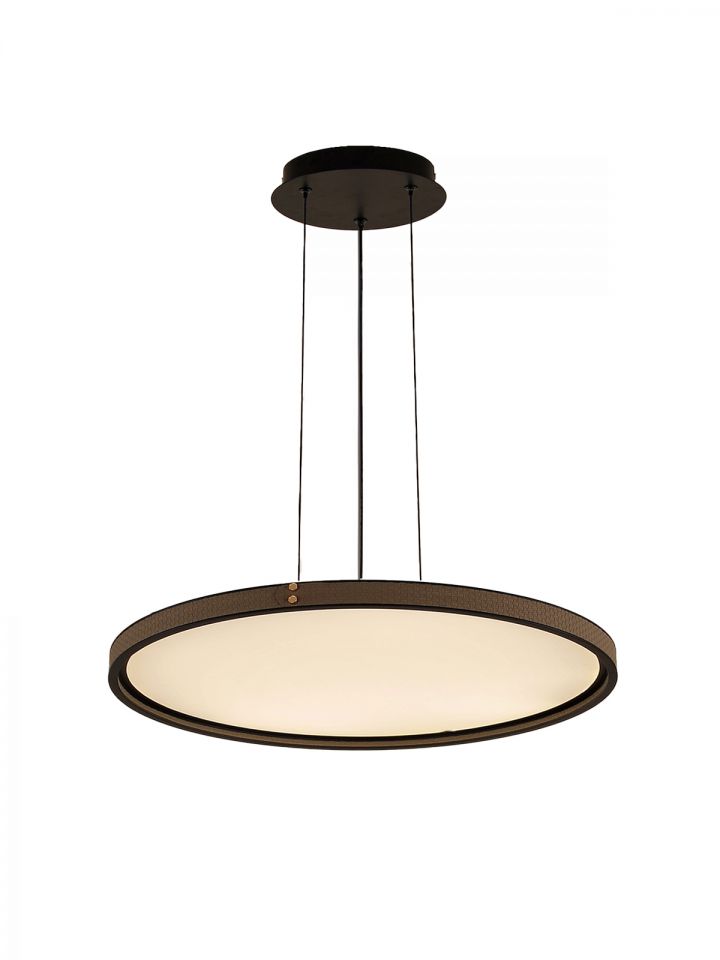 מרידיאן עור תליה LED CCT