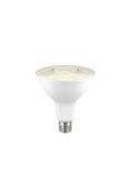 מק לד WW LED IP65 PAR38
