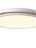 שניר צמוד LED CCT