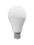 נורת לייט LED WW 20W
