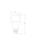 נורת לייט LED WW 20W