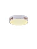 רולס טרימלס LED CCT