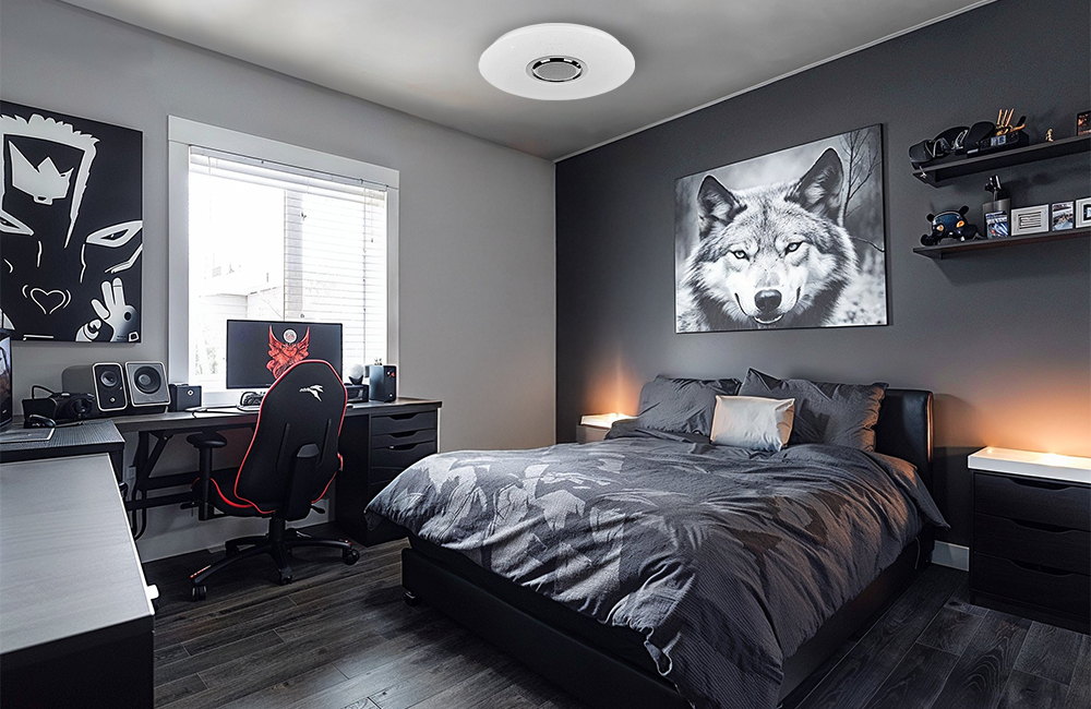 תמונת אווירה דלינה