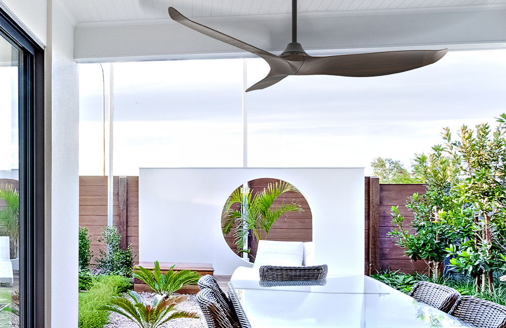 תמונת אווירה- מונטנה עץ